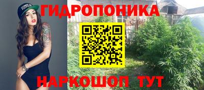 ALPHA PVP Пугачёв