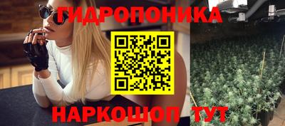 ALPHA PVP Пугачёв