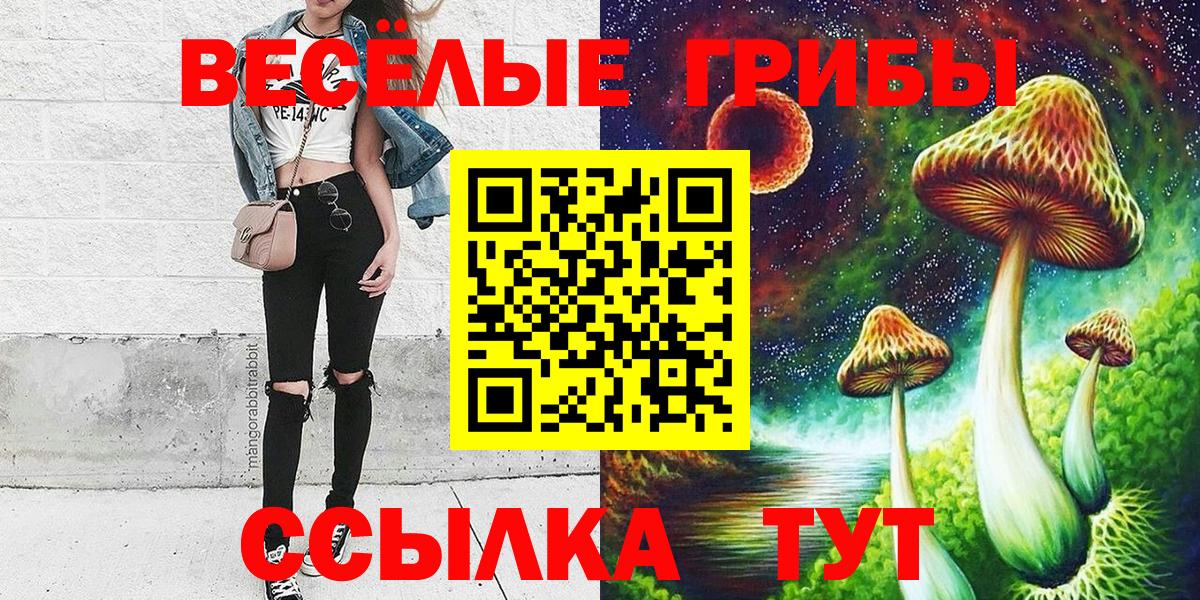 Псилоцибиновые грибы прущие грибы  Вход с VPN  Анжеро-Судженск 